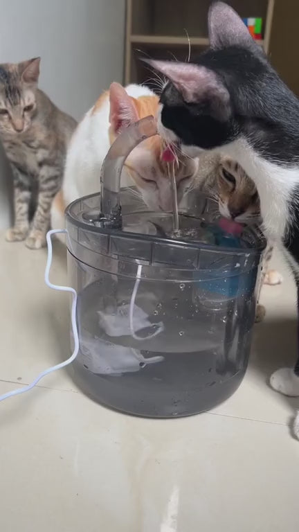Fuente de agua para gatos con sensor de