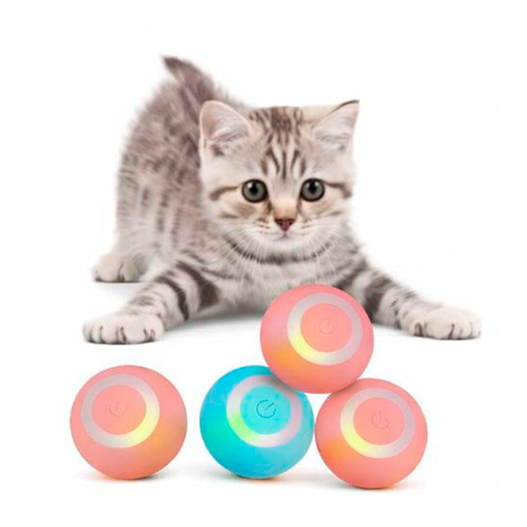 Mastershop Product Image